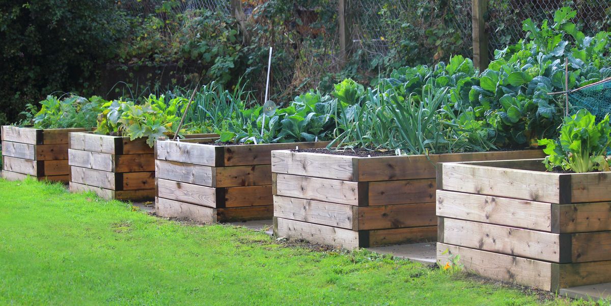 How To Build A Raised Garden Bed Scoopsky, What Is The Best Way To Build Raised Garden Beds