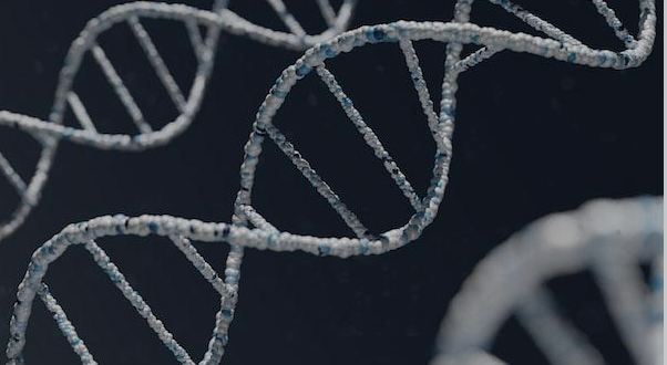 How Are Different Mental Health Issues Influenced by DNA?